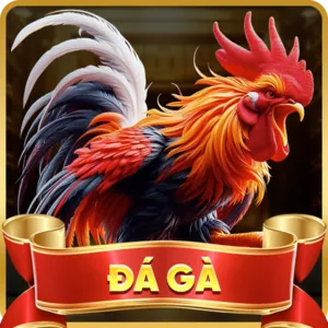 Hỗ trợ khách hàng 24/7 ga65 code